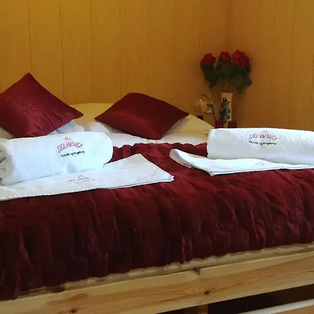 Sielanowek - Orzechowa Z Sauna Wanna Termalna Jacuzzi Apartmán Żywiec
