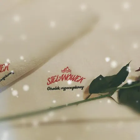 Sielanowek - Orzechowa Z Sauna Wanna Termalna Jacuzzi Żywiec