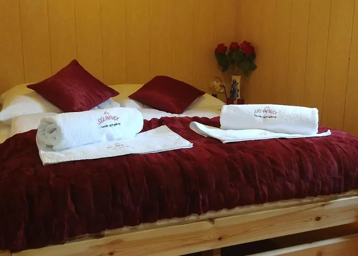 Sielanowek - Orzechowa Z Sauna Wanna Termalna Jacuzzi Apartment Żywiec