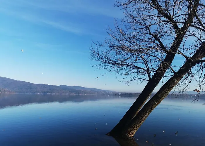 Sielanowek - Orzechowa Z Sauna Wanna Termalna Jacuzzi * Żywiec