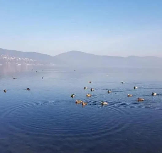 Sielanowek - Orzechowa Z Sauna Wanna Termalna Jacuzzi *