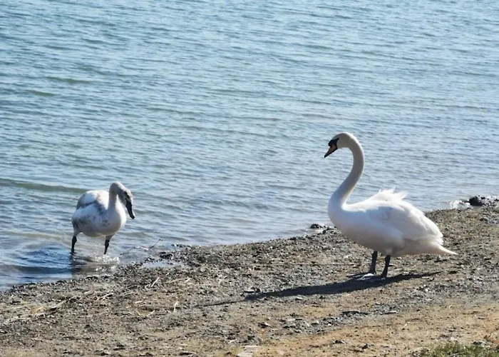 Sielanowek - Orzechowa Z Sauna Wanna Termalna Jacuzzi * Żywiec